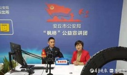 山东潍坊开视频会爆料,揭秘会议背后惊人内幕