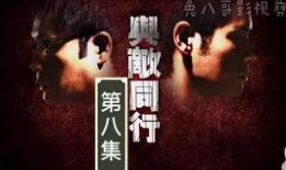 与敌同行在线观看,揭秘战地风云中的生死较量